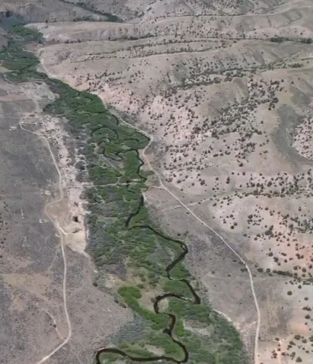 Cowan Bar Placer