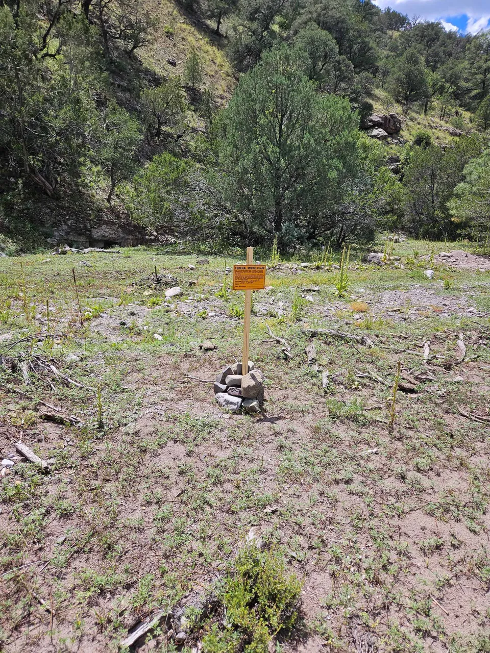 Chloride Creek Gold #1